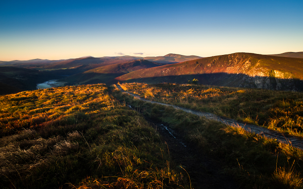 Wicklow
