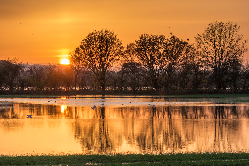 Sunset over the flooded River Stour