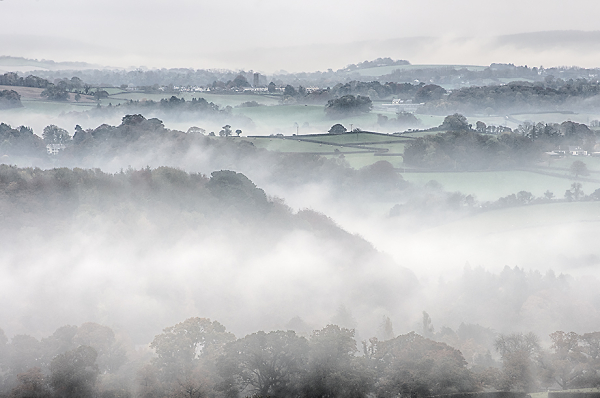 Blakemore Inversion