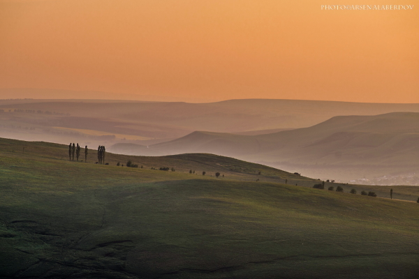 CAUCASIAN TOSCANA , K-1, DA*200 2.8