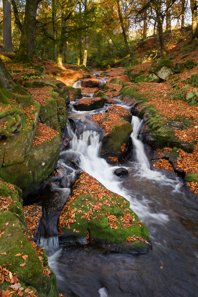 Cloghleagh