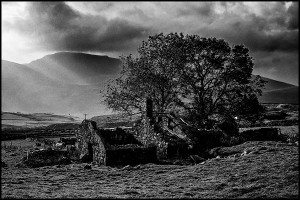Hafod