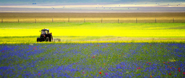 Tractor