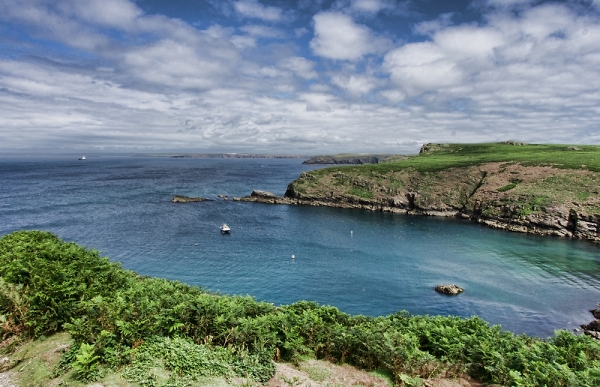view from Skomer Island  wales u.k