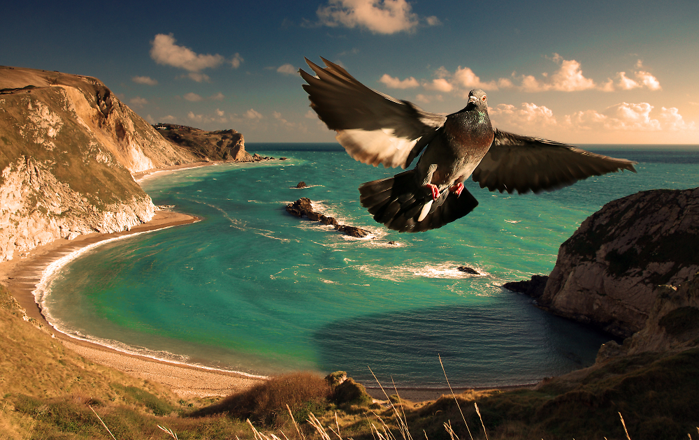 Durdle door
