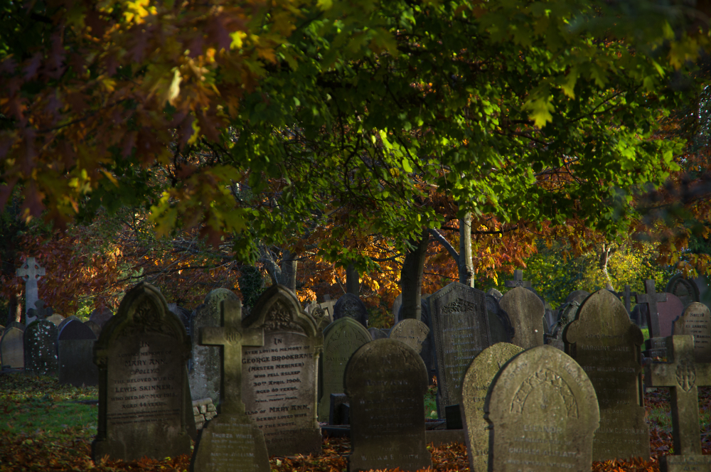 Graves of Autumn