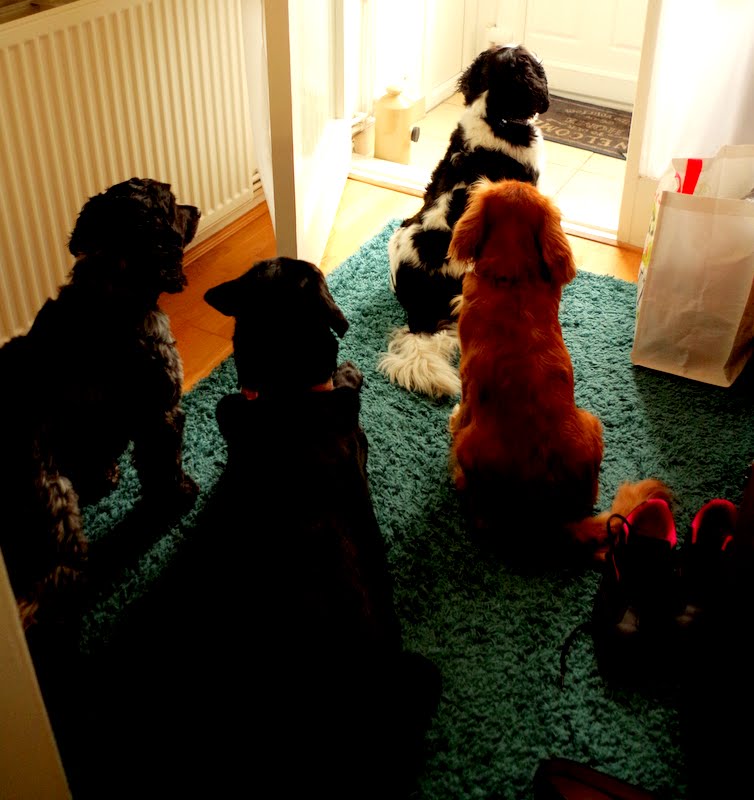 Who's at the door Barney?