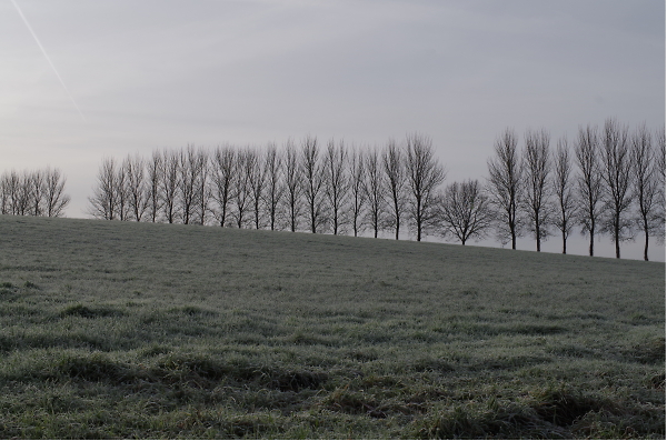 Cold and Frosty Morning