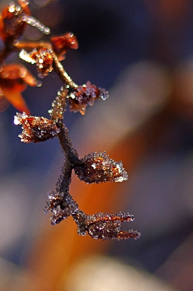 frosty jewellery