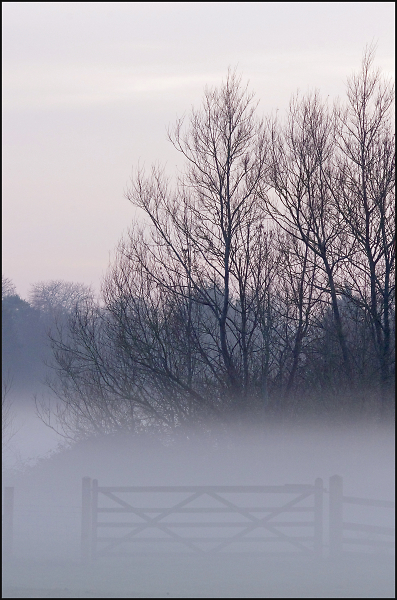 Gate In The Rising Mist