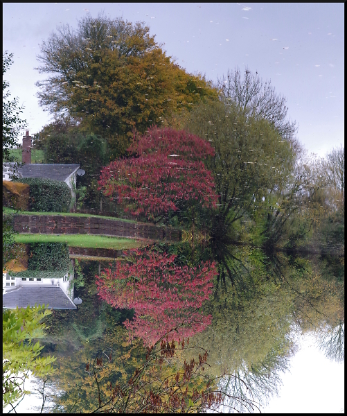 Reflection