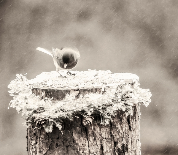 Brrr, It's Cold Outside!