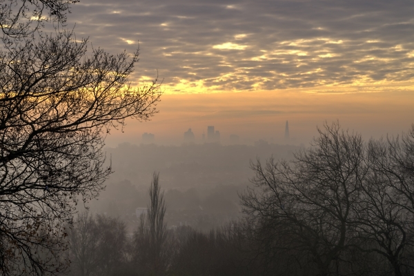 View from Ally Pally