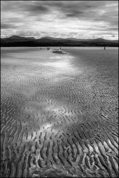Wet Beach Patterns