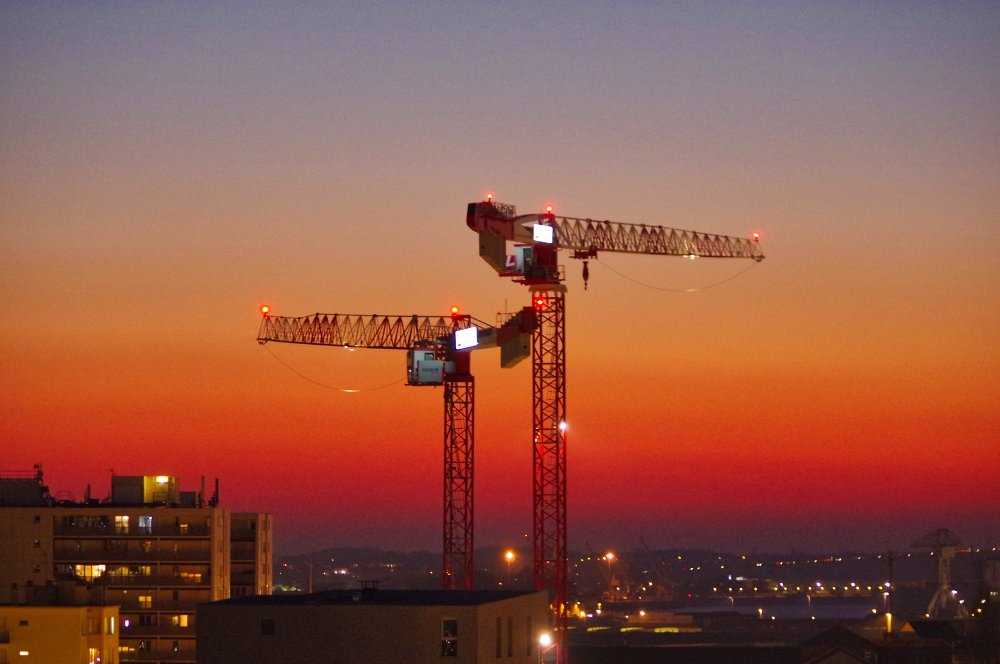 A couple of cranes irresistably showing off in the sunset (again)
