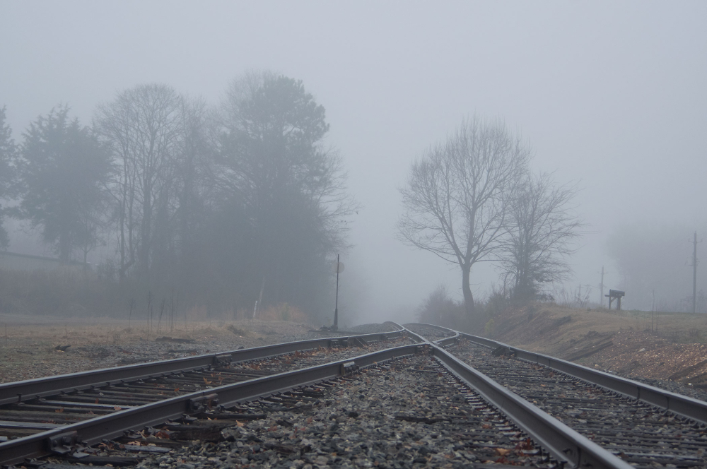 A walk in the fog