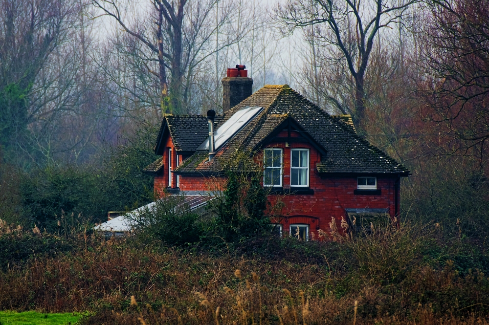 House in the woods