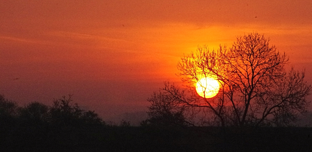 Morning sun