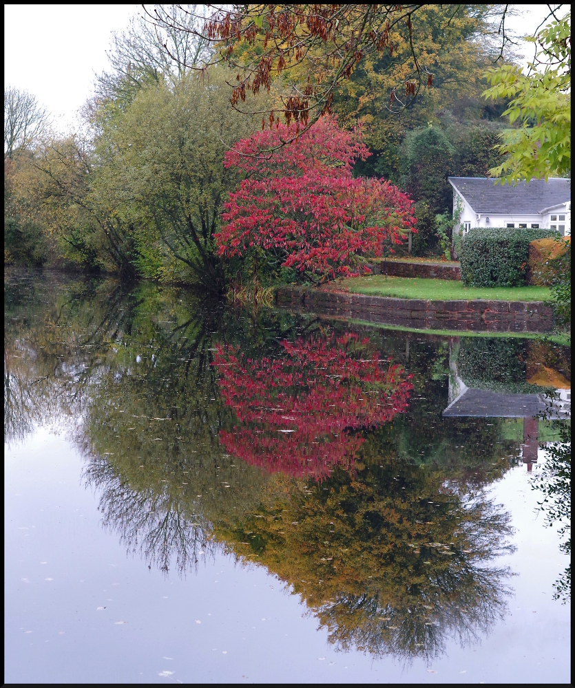 Reflection - Mark 2