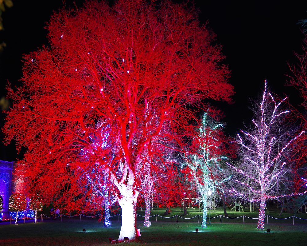 Thursford Lights Display