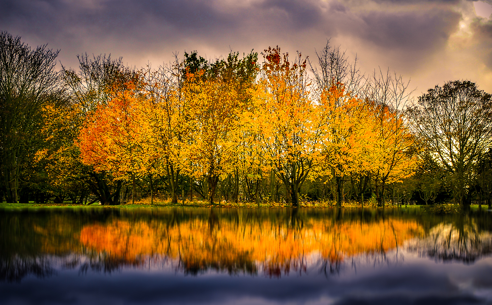 Autumn reflection