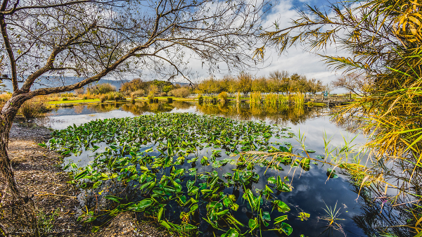 31 December Hula Valley