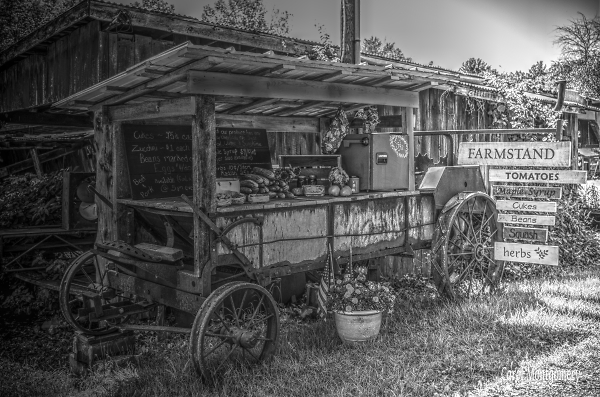 Backroad Farmstand