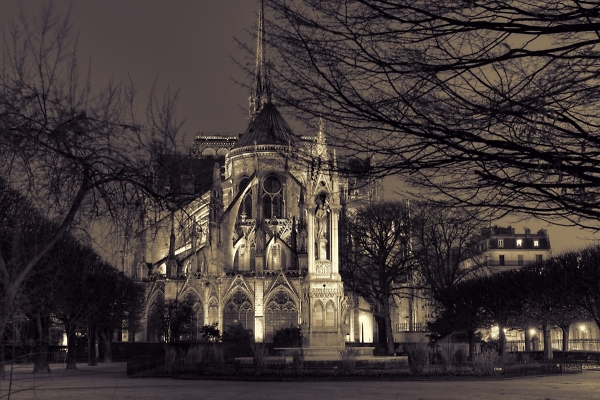 Cath�drale Notre-Dame de Paris
