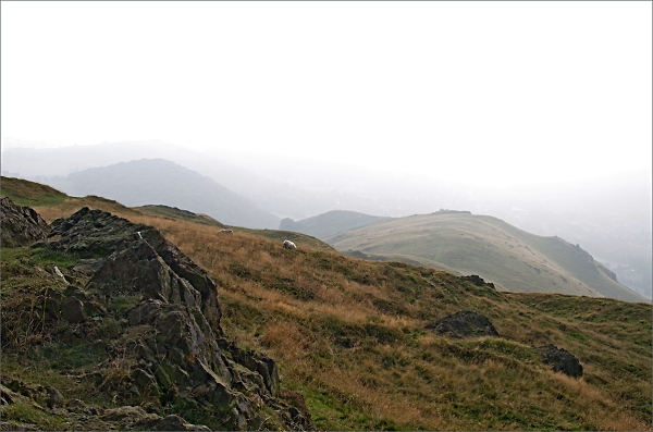 Shropshire