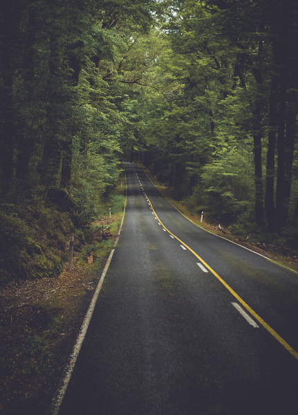 Uncertain Road Ahead