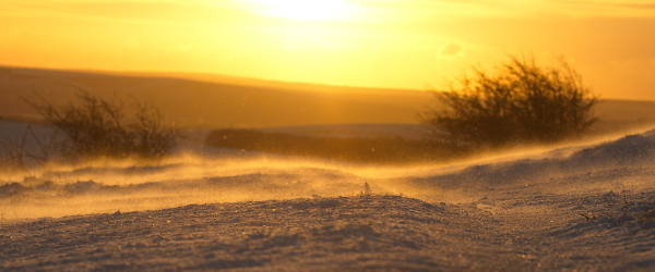 wind-driven snow