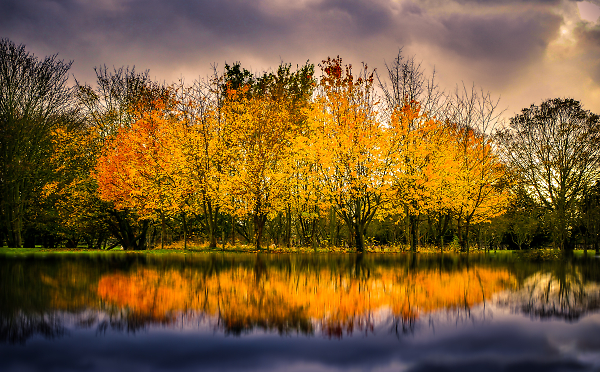 Autumn reflection
