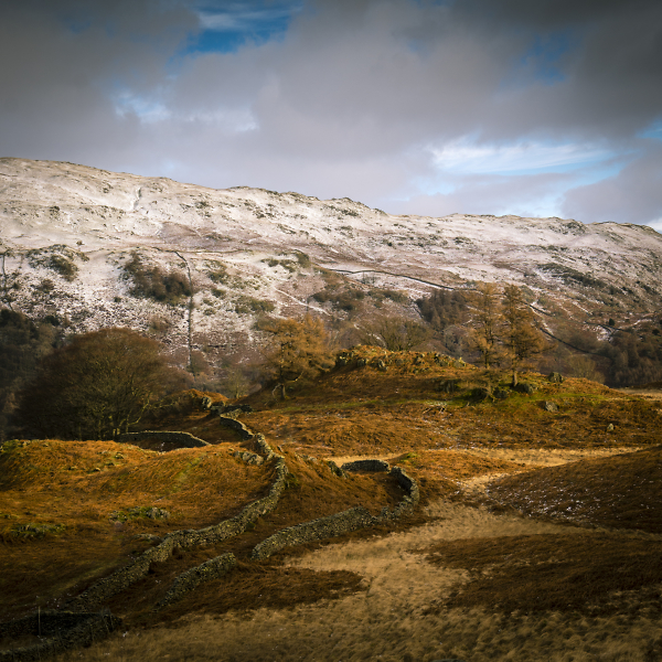 Wintry lakeland