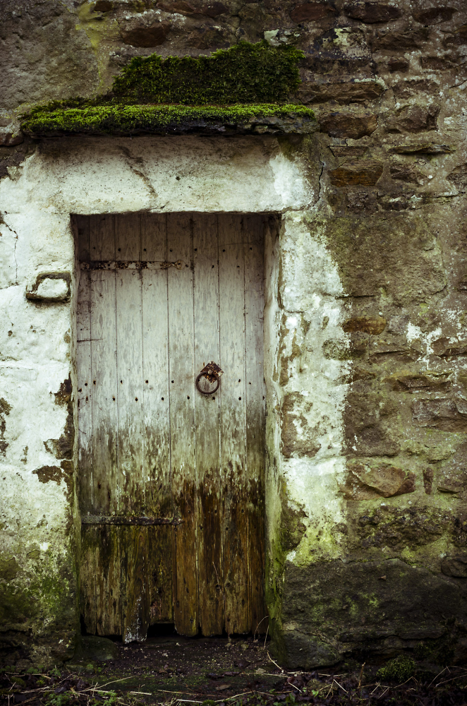 Damp Door