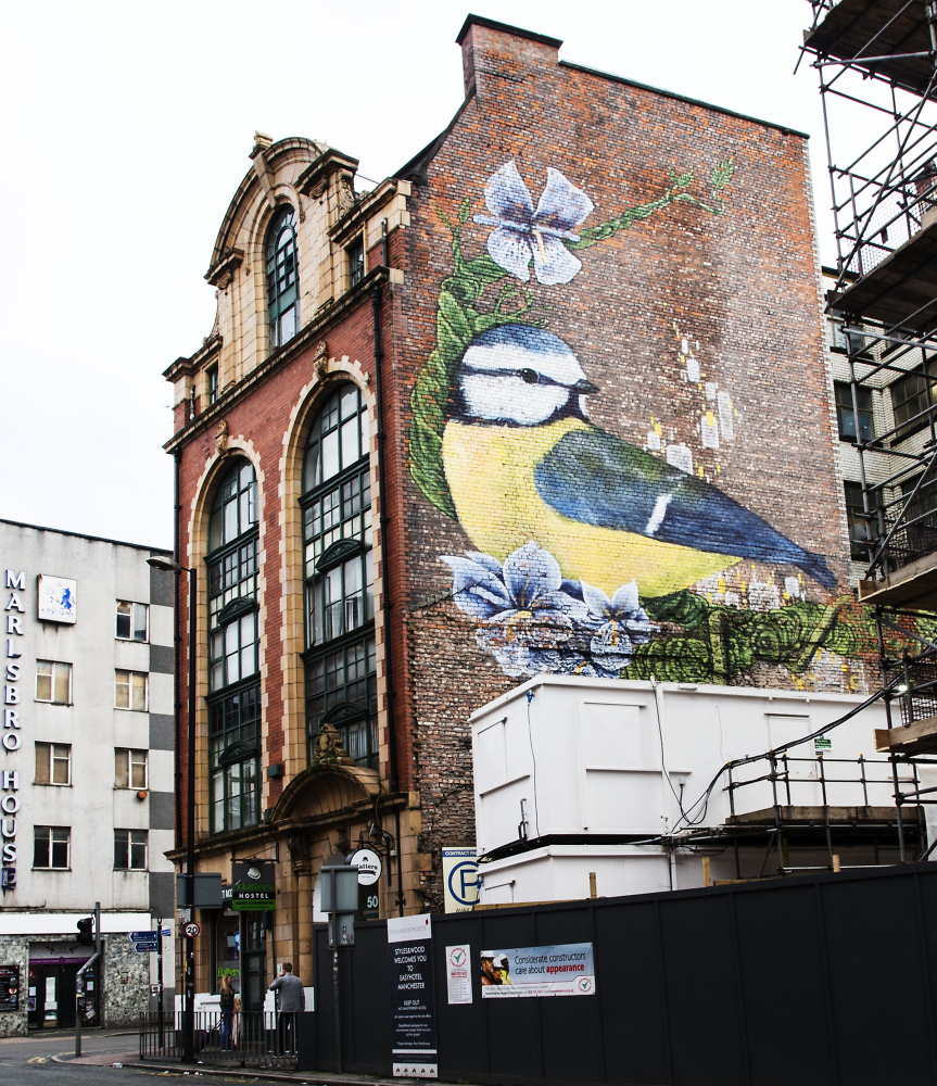 Rambling around Manchester
