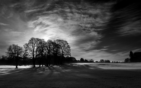 Light and Shade