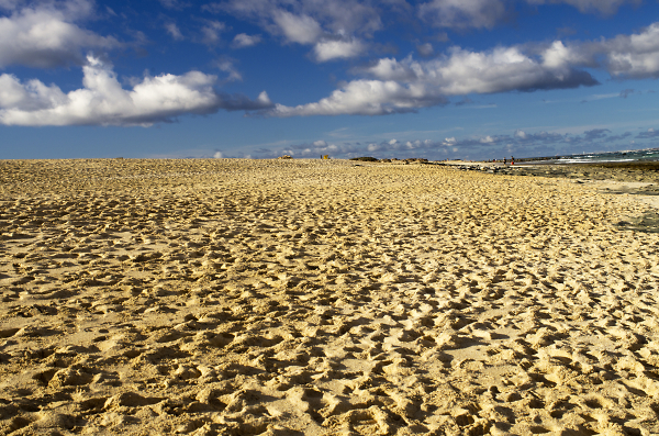 Sand Dunes - corralejo