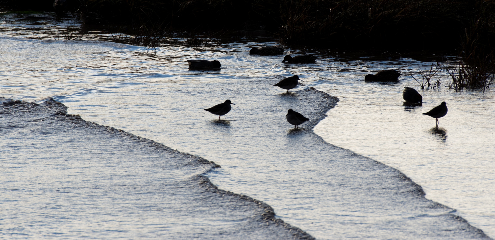 As the sun sets over the estuary