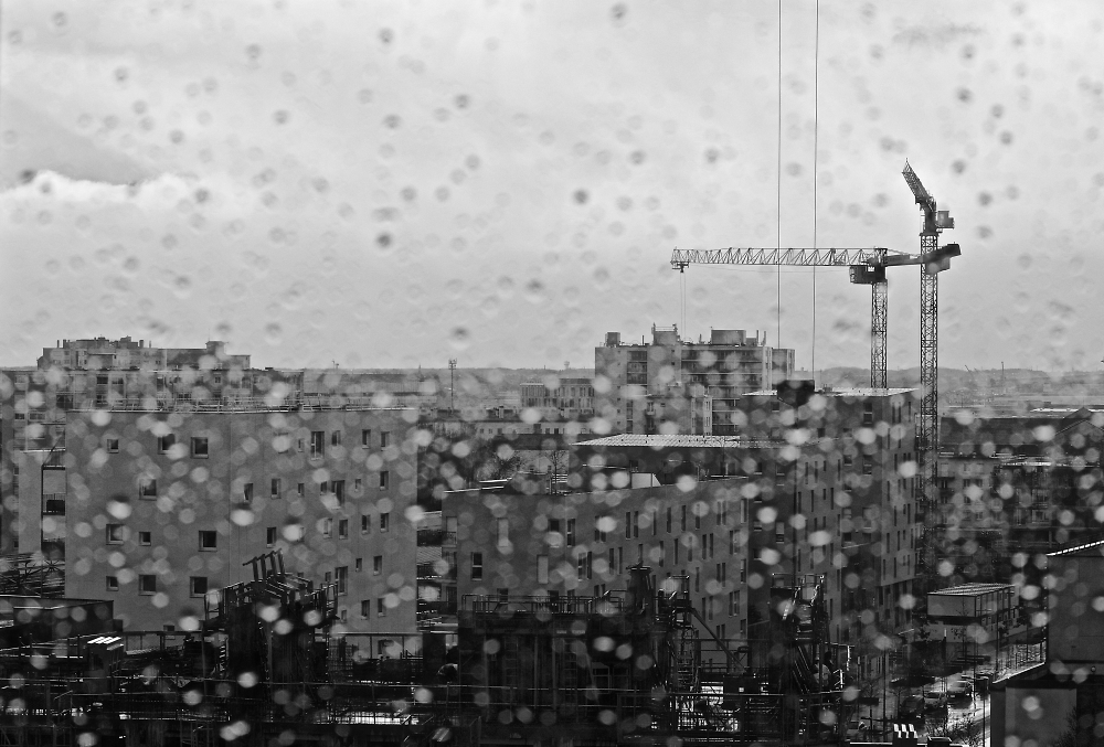 Cranes in the rain.