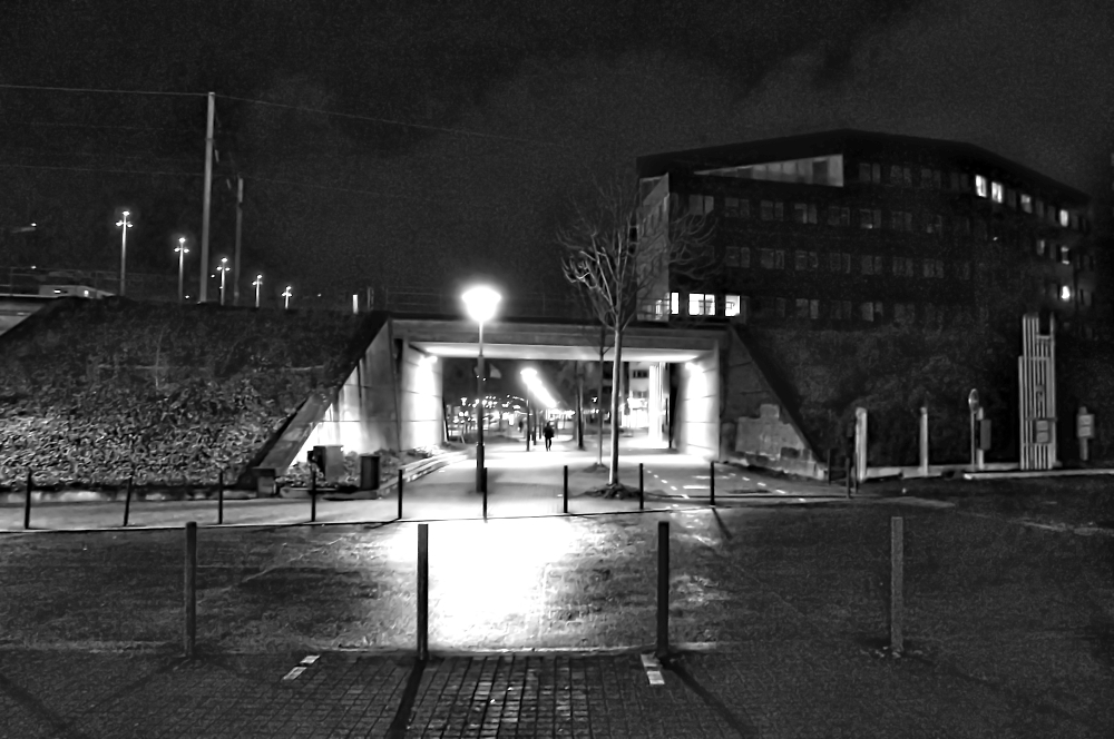 Night photo