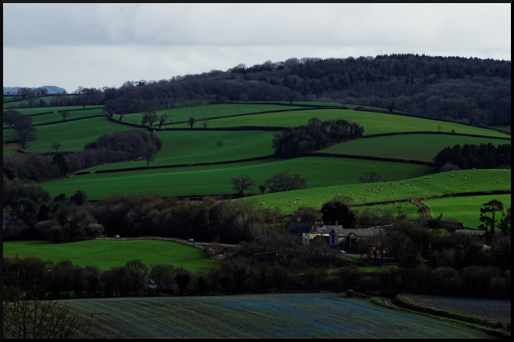 Rolling Devon landscape