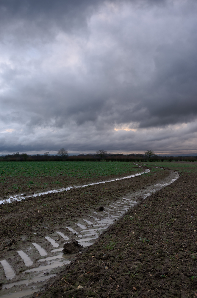 The real Suffolk