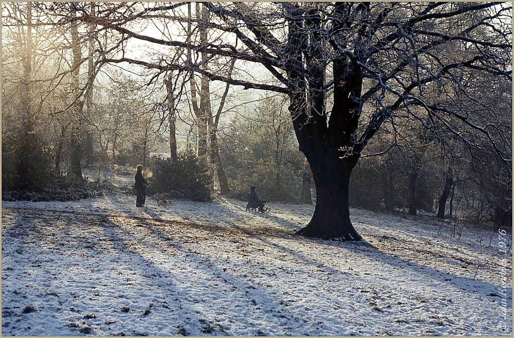Winter Wonderland