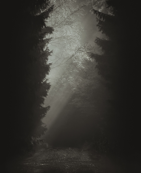 battle of light and shadow...