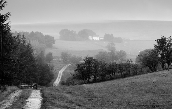 Farmhouse in the Mist