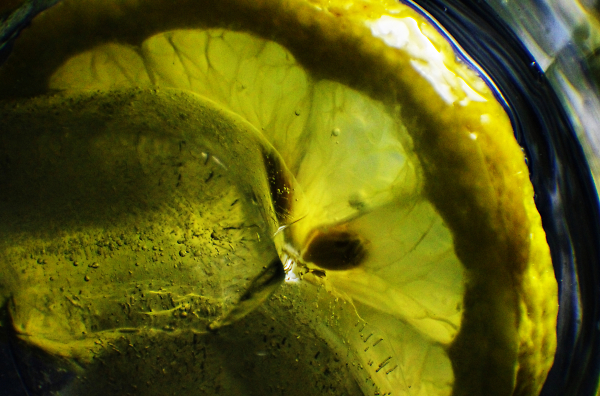 Gin & Tonic on the Rocks