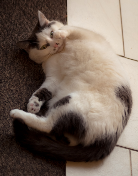 Look at me i'm so cute