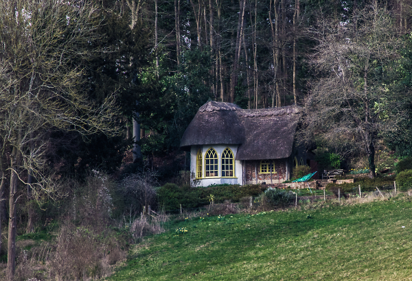 Old cottage in the woods