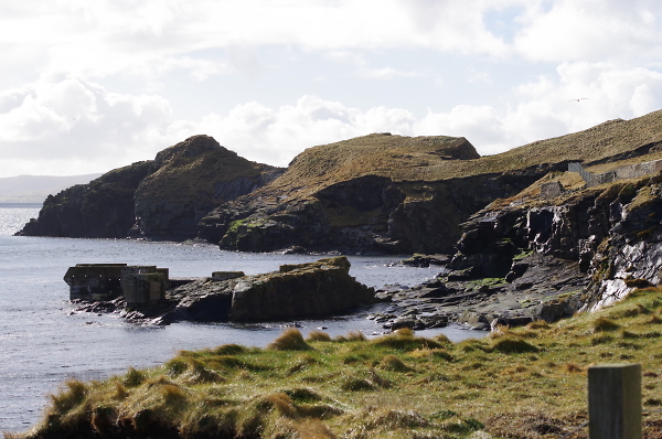 Shore Walk