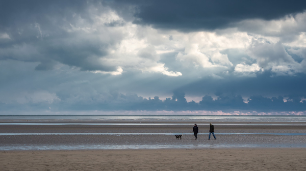 Walking the Dog